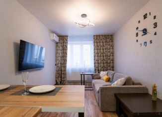 1-ком. квартира в аренду, 42 м2, Тульская область, улица Сурикова, 24