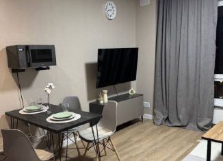 Сдача в аренду квартиры студии, 22 м2, Москва, Тагильская улица, 3к3, ВАО