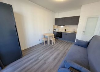 Сдаю 1-комнатную квартиру, 31.2 м2, Санкт-Петербург, Пулковское шоссе, 99к6, Московский район