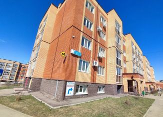 Продаю 1-ком. квартиру, 47.1 м2, село Михайловка, Сливовая улица, 3