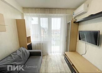 Сдаю в аренду 1-ком. квартиру, 31.5 м2, Сочи, улица Чайкиной, 11/18, микрорайон Соболевка