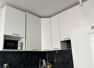 Сдам в аренду квартиру студию, 25 м2, Санкт-Петербург, проспект Ветеранов, 175к4, метро Проспект Ветеранов