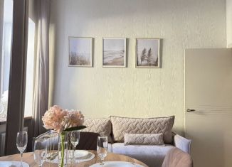 Сдается в аренду 1-ком. квартира, 37 м2, Кронштадт, улица Аммермана, 46