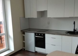 Сдаю в аренду квартиру студию, 24 м2, посёлок Парголово, Заречная улица, 38к2