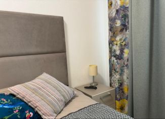 Сдам квартиру студию, 28 м2, Санкт-Петербург, Плесецкая улица, 20к2, муниципальный округ Коломяги