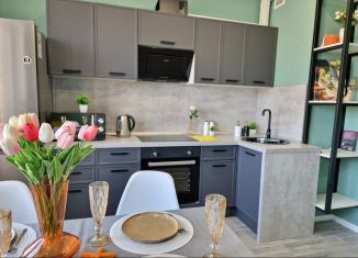 Сдам 1-ком. квартиру, 45 м2, Нижний Новгород, улица Тургенева, 25к1, Нижегородский район