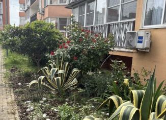 Сдается в аренду 2-ком. квартира, 56 м2, Сириус, Урожайная улица, 71Ак4