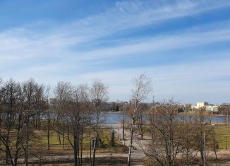 Продаю трехкомнатную квартиру, 58.2 м2, Колпино, Красная улица, 12