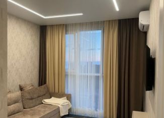Продаю 2-ком. квартиру, 42 м2, Сочи, Ясногорская улица, 16/6к1, микрорайон Бытха