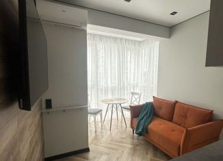 Сдам 1-комнатную квартиру, 30 м2, Сочи, Ясногорская улица, 16/8к1, микрорайон Бытха