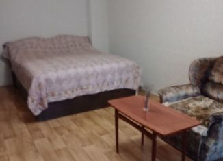 Сдается 1-комнатная квартира, 36 м2, Москва, Щёлковское шоссе, 17к1, район Гольяново