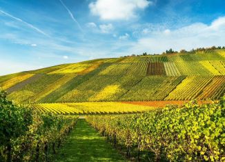 Продаю участок, 345 сот., Крым