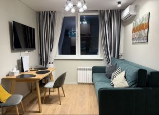 Сдача в аренду 3-комнатной квартиры, 45 м2, Сочи, переулок Трунова, 6к8, микрорайон Завокзальный