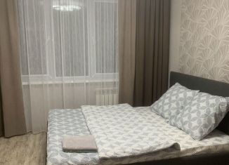 Сдача в аренду однокомнатной квартиры, 35 м2, Саратов, улица имени В.И. Гришаева, 4