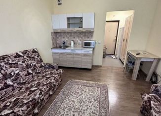 Продаю квартиру студию, 20.2 м2, Кудрово, Пражская улица, 4