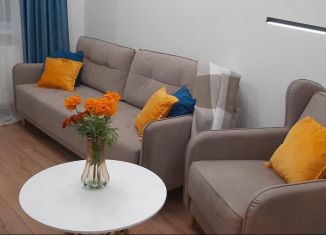 Сдаю квартиру студию, 23 м2, Мурино, Ручьёвский проспект, ЖК Айди Мурино