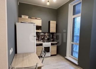 Продаю квартиру студию, 24.1 м2, Мурино, Ручьёвский проспект, 17к1, ЖК Айди Мурино