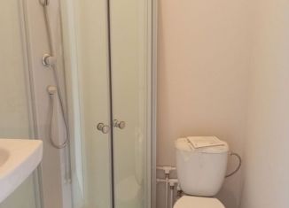 Сдаю в аренду 1-ком. квартиру, 21 м2, Санкт-Петербург, Кондратьевский проспект, 17, Калининский район