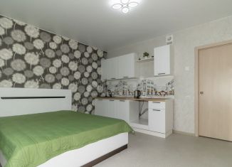 Квартира в аренду студия, 24.5 м2, Челябинск, улица Генерала Мартынова, 2, Курчатовский район