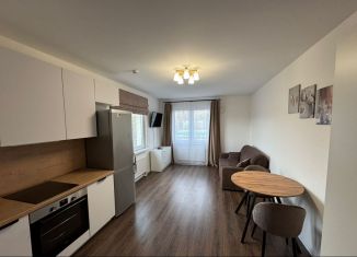 Аренда квартиры студии, 26 м2, Санкт-Петербург, проспект Большевиков, 68к1, Невский район