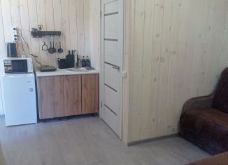 Аренда дома, 21 м2, село Иогач, Набережная улица