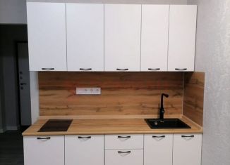 Продаю квартиру студию, 24 м2, Ростов-на-Дону, Батуринская улица, 167/16, ЖК Солнечный