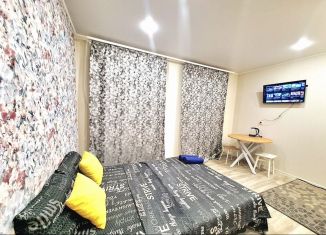 Сдам квартиру студию, 33 м2, Республика Башкортостан, Бородинская улица, 11