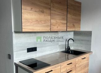 Квартира в аренду студия, 26 м2, Сыктывкар, улица Карла Маркса, 129