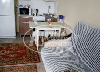 Квартира на продажу студия, 24.9 м2, Пермь, улица Вильямса, 51А, ЖК Журавли