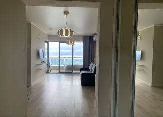 Аренда 1-комнатной квартиры, 70 м2, Сочи, Курортный проспект, 92/5, микрорайон Бытха