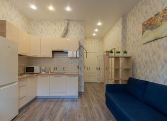 Сдаю квартиру студию, 25 м2, Санкт-Петербург, Глухая Зеленина улица, 6, муниципальный округ Чкаловское