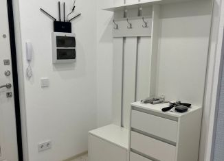 Сдаю квартиру студию, 25 м2, посёлок Шушары, Старорусский проспект, 9