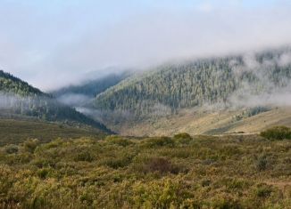 Продам участок, 500 сот., Елинское сельское поселение