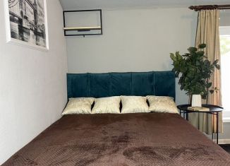 Сдам в аренду однокомнатную квартиру, 20 м2, Долгопрудный, улица Лизы Чайкиной, 14/15