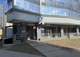 Продаю помещение свободного назначения, 63.5 м2, Санкт-Петербург, Заневский проспект, 42, муниципальный округ Малая Охта