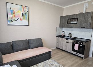 Сдача в аренду квартиры студии, 22 м2, посёлок Стрельна, проспект Будённого, 24к5