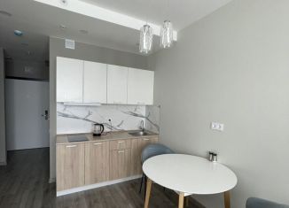 Квартира на продажу студия, 25 м2, Санкт-Петербург, Витебский проспект, 99к1, муниципальный округ Гагаринское