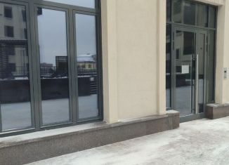 Помещение свободного назначения на продажу, 70 м2, Санкт-Петербург, Ремесленная улица, 19, Петроградский район