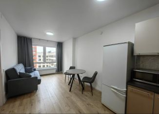 Сдается 1-ком. квартира, 40 м2, деревня Новое Девяткино, Главная улица, 8к1