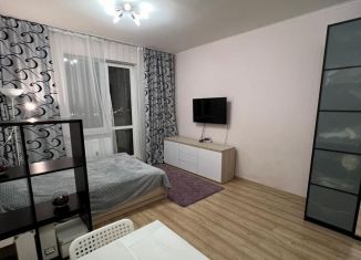 Продам квартиру студию, 24.7 м2, Мурино, Охтинская аллея, 8, ЖК Мой Город