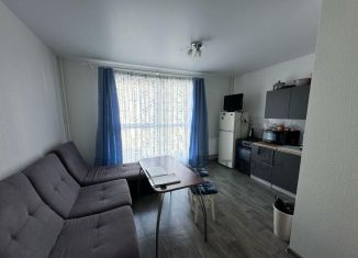Сдается в аренду 1-ком. квартира, 42 м2, Челябинск, улица Блюхера, 123