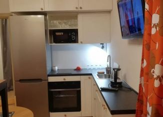 Сдается квартира студия, 24.8 м2, Санкт-Петербург, 1-й Предпортовый проезд, 13, муниципальный округ Новоизмайловское