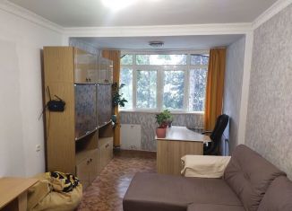 1-ком. квартира в аренду, 30 м2, Сочи, Ворошиловская улица, 10, микрорайон Бытха