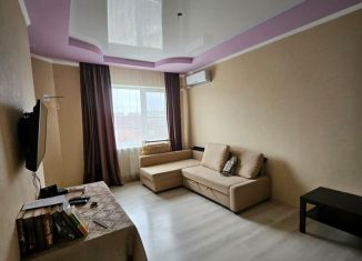 1-ком. квартира на продажу, 33.1 м2, Краснодар, Цветной переулок, 2, микрорайон Сады Калинина