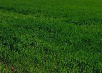 Дом на продажу, 50 м2, СНТ Ромашка, СНТ Ромашка, 54