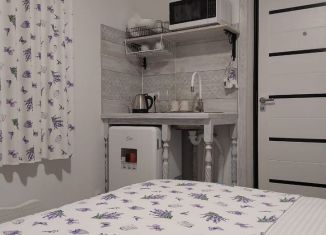 Дом в аренду, 27 м2, село Элекмонар, Молодёжная улица, 53