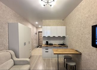 Сдам квартиру студию, 16 м2, деревня Афонино, улица Красная Поляна, 2