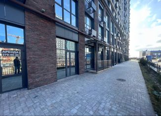 Продается помещение свободного назначения, 49.9 м2, Ростов-на-Дону, улица Бориса Слюсаря, 17с1, Кировский район