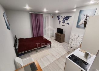 Продам квартиру студию, 22.6 м2, Санкт-Петербург, Полевая Сабировская улица, 45к1, метро Пионерская