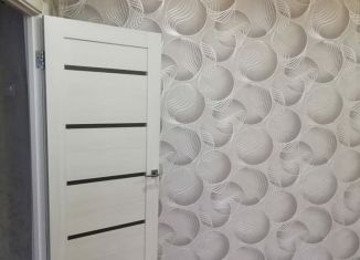 Сдается в аренду 1-комнатная квартира, 32 м2, Благовещенск, улица Братьев Першиных, 7/3